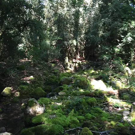 La Fusteria Del Casat Sarroca de Bellera